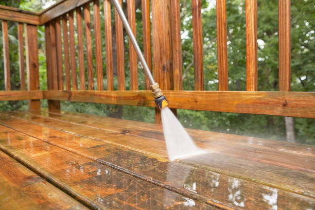 Best Animal Enclosure Cleaning  in Winchester, OH